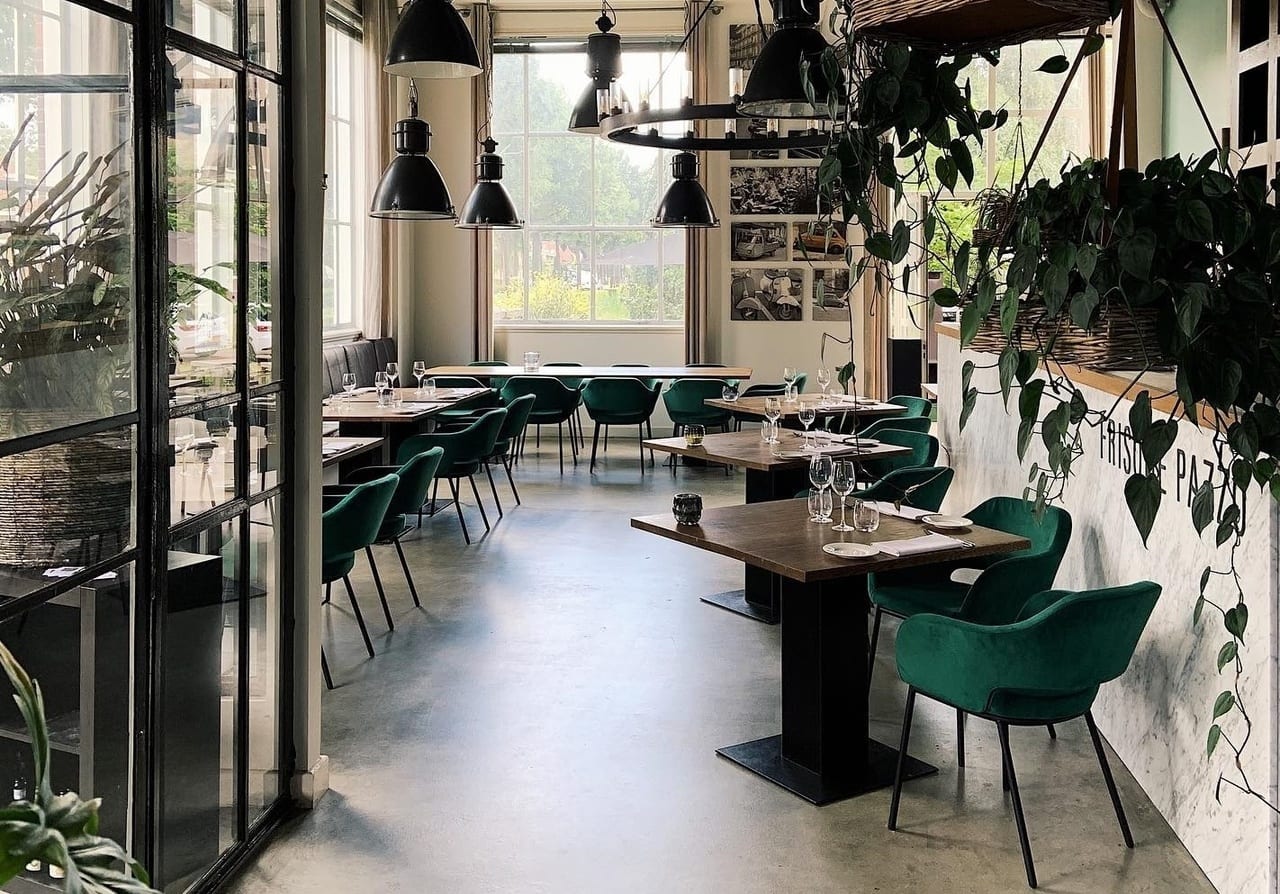 Frisone Pazzo — foto 4