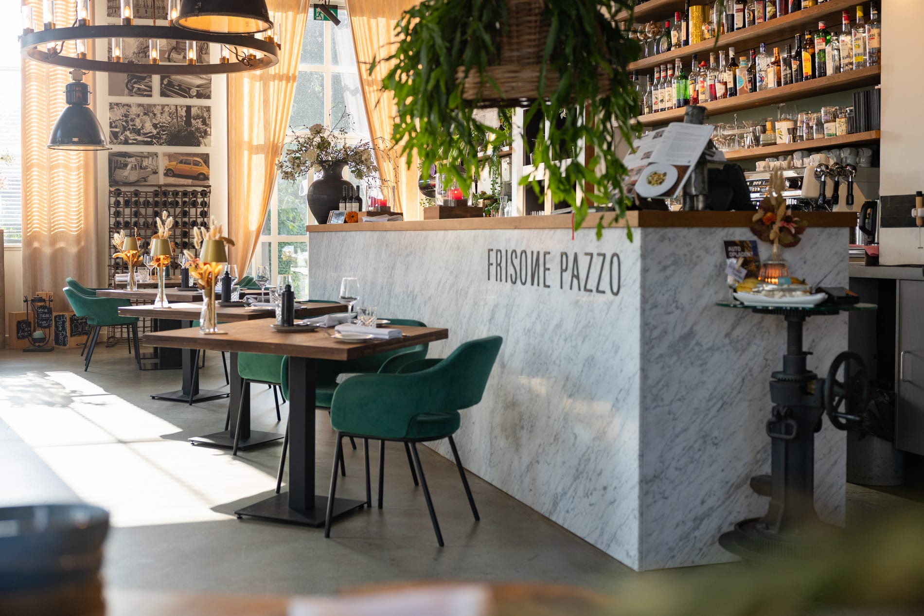 Frisone Pazzo — foto 2