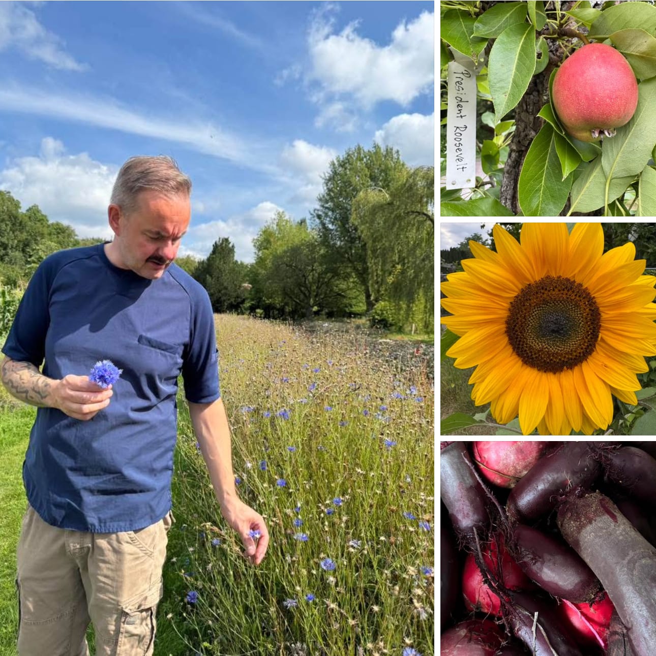Sfeerbeeld van POSTEN Nordic Cuisine in Frederiksoord