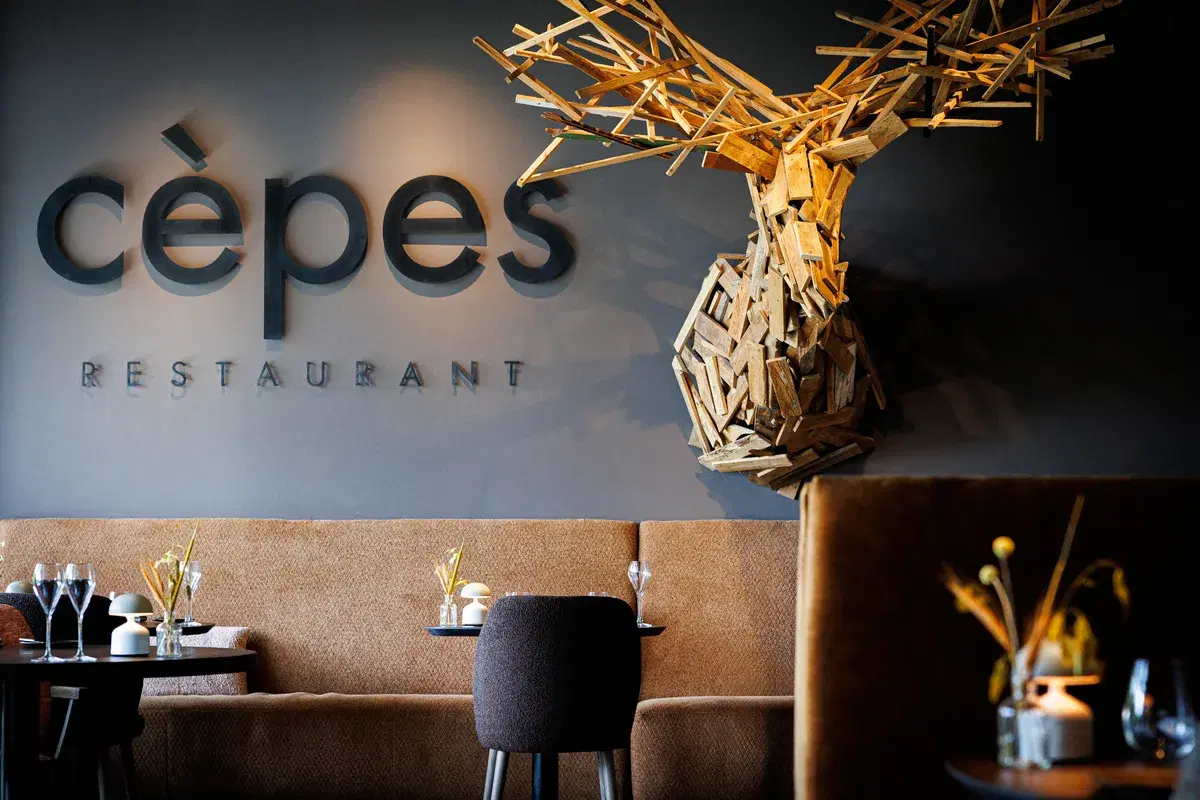 Cèpes