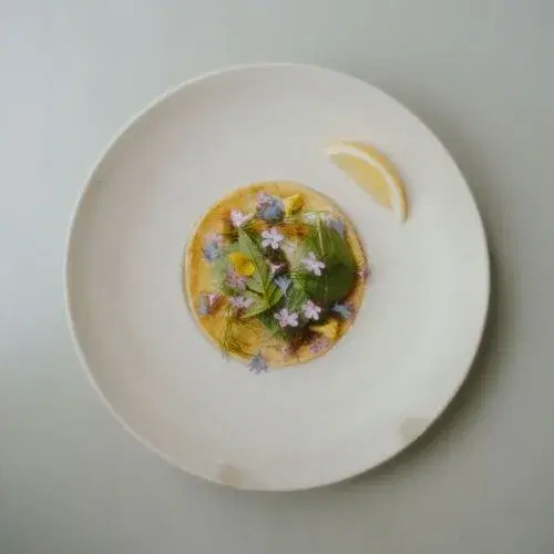 Konijnenvoer — vegetarisch restaurant in Arnhem