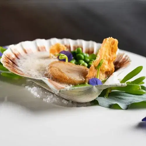 Restaurant Darwin