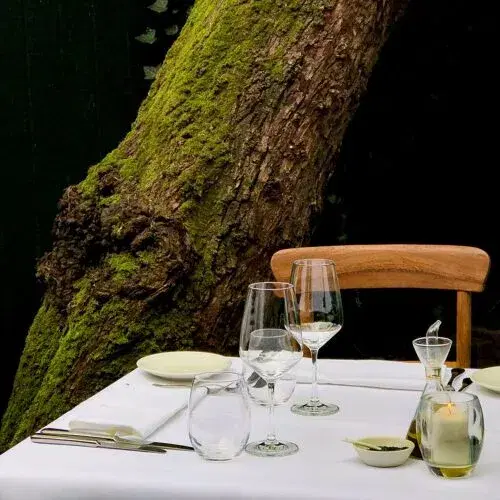 Sequenza — frans restaurant in Den Haag